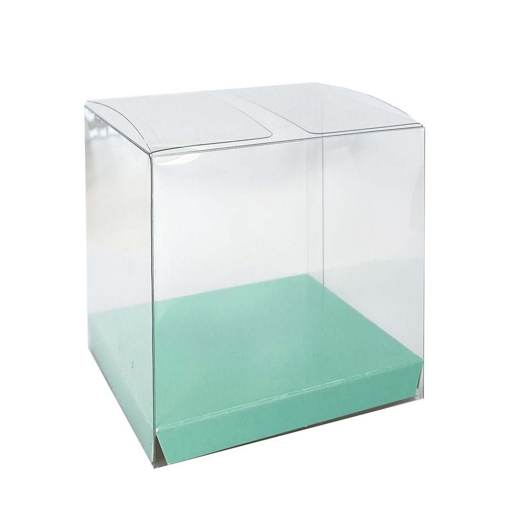 FS Clear Favour Box Mint Green 10pk