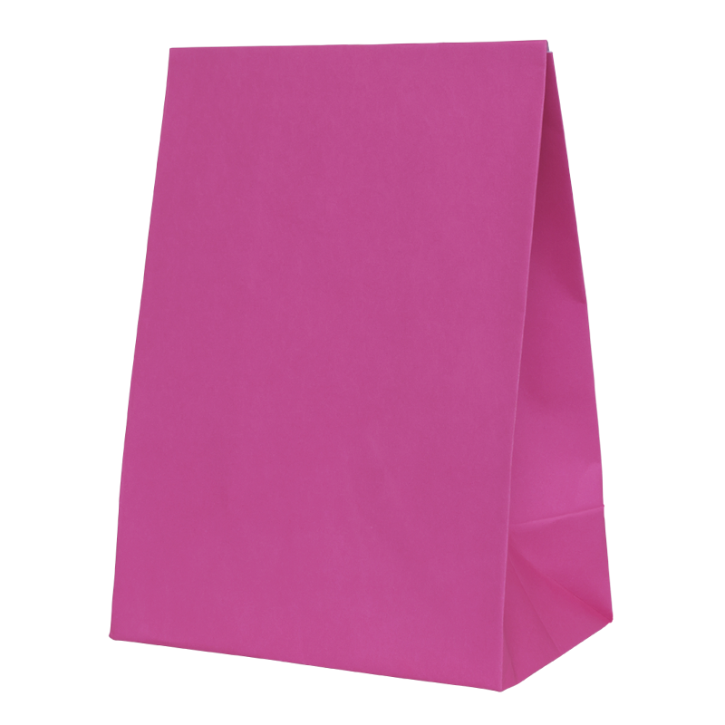FS Paper Party Bag Flamingo 10pk