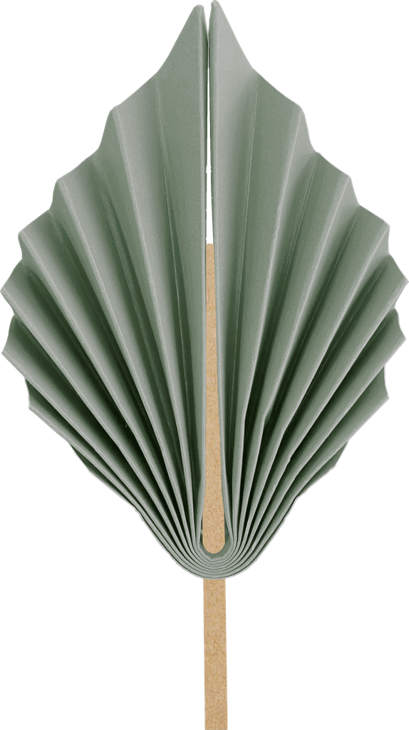 FS Paper Palm Leaf 15cm Eucalyptus 2pk