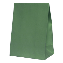 [6300SGP] FS Paper Party Bag Sage Green 10pk