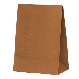 [6300ACP] FS Paper Party Bag Acorn 10pk