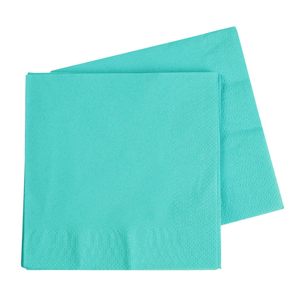 FS Lunch Napkin 330mm Classic Turquoise 40pk