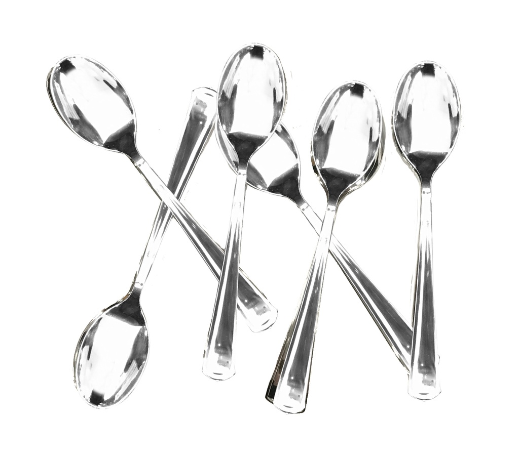 FS Dessert Spoon Plastic Silverware 20pk