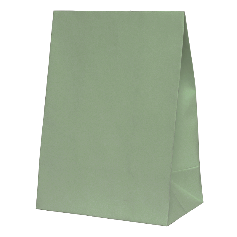 FS Favour Paper Party Bag Eucalyptus 10pk