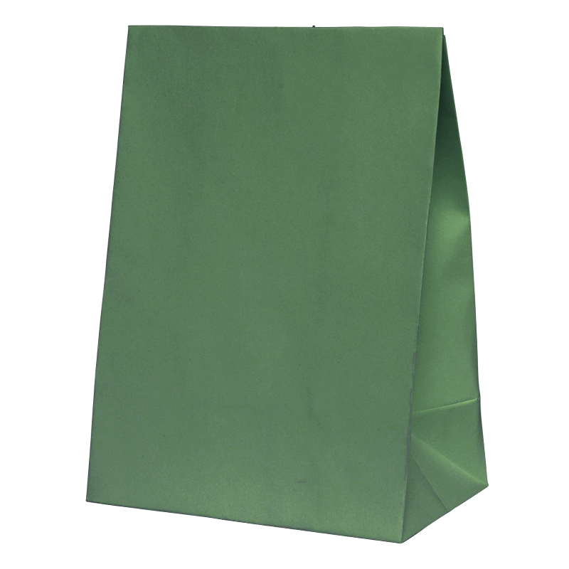 FS Paper Party Bag Sage Green 10pk