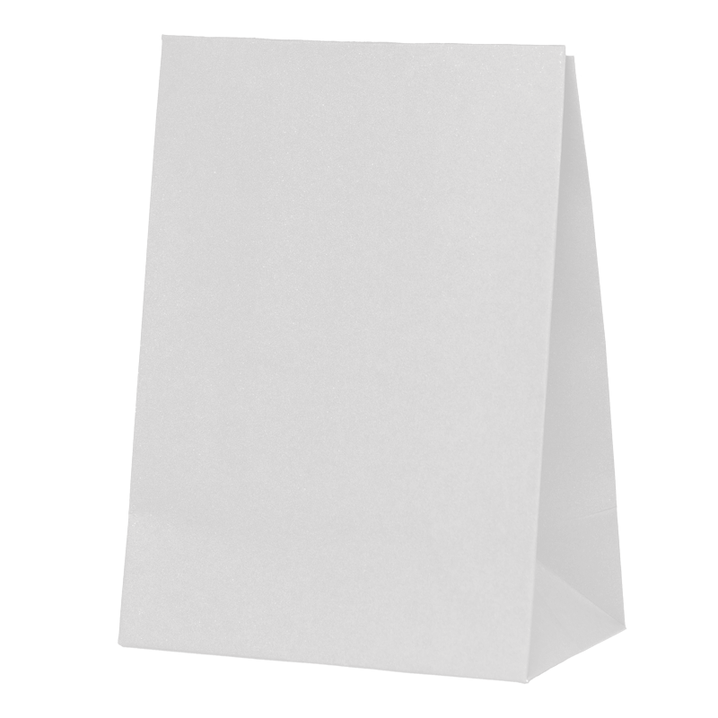 FS Paper Party Bag White 10pk