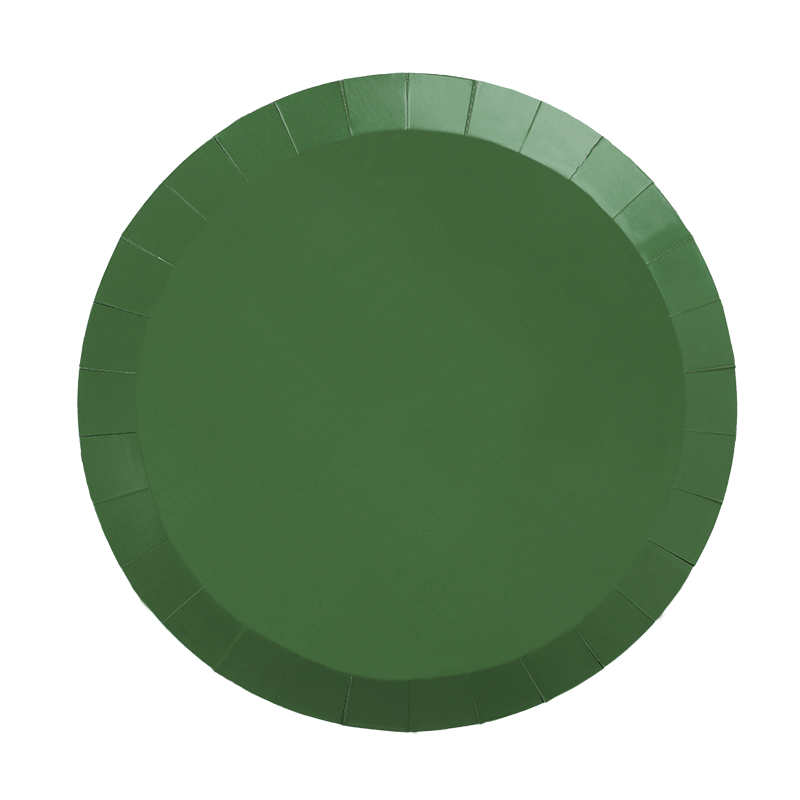 FS Paper Round Dinner Plate 9&quot; Sage Green 20pk 