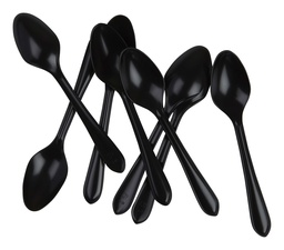[6016BKP] FS Dessert Spoon Black 20pk