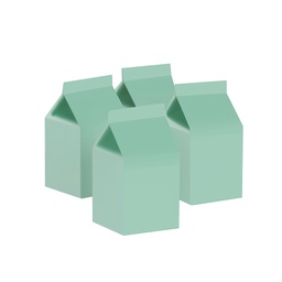 [6220MTP] FS Milk Box Mint Green 10pk