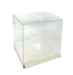 [6250IRP] FS Clear Favour Box Iridescent 10pk