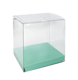 [6250MTP] FS Clear Favour Box Mint Green 10pk