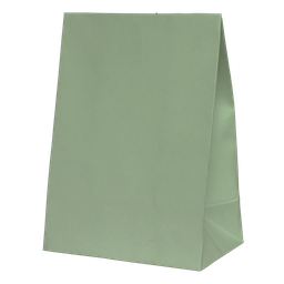 [6300EUP] FS Favour Paper Party Bag Eucalyptus 10pk