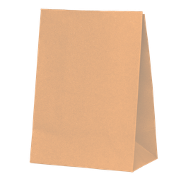 [6300PHP] FS Paper Party Bag Peach 10pk