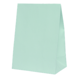 [6300MTP] FS Paper Party Bag Mint Green 10pk