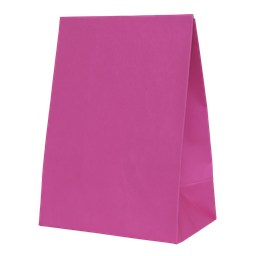 [6300FMP] FS Paper Party Bag Flamingo 10pk