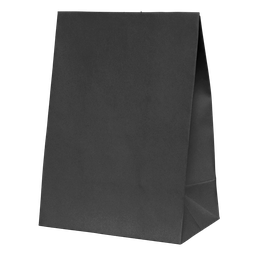 [6300BKP] FS Paper Party Bag Black 10pk