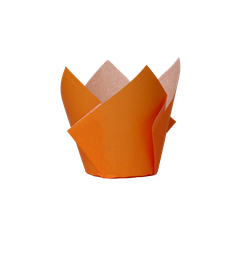 [6255TGP] FS Tulip Cupcake Case Tangerine 20pk