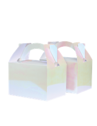 [6231IRP] FS Little Lunch Box Iridescent 10pk