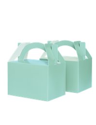 [6231MTP] FS Little Lunch Box Mint Green 10pk