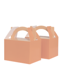 [6231PHP] FS Little Lunch Box Peach 10pk