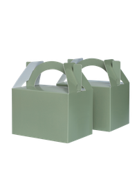 [6231EUP] FS Little Lunch Box Eucalyptus 10pk